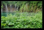 Plitvice -11-07-2013 - Bogdan Balaban